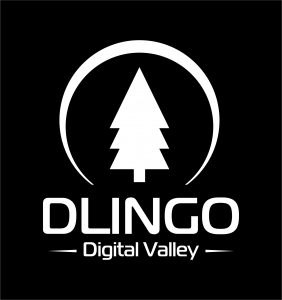 DLINGO DIGITAL VALLEY